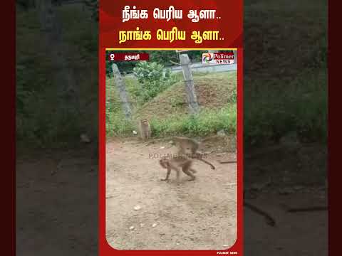 நீங்க பெரிய ஆளா நாங்க பெரிய ஆளா... வாங்க மோதி பாத்துடுவோம்...