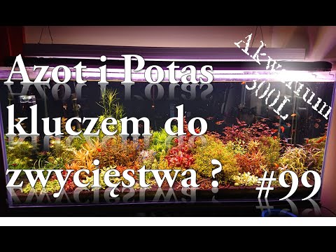 Akwarystyka 099 - Azot i Potas - jak nawozić dobrze