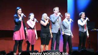 Vocado - Ronja Räubertochter Medley (a cappella)