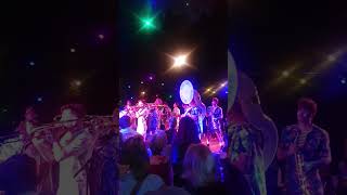 Ambiance Magique au Bois de la Cambre : Pelouse Grass Band en Live ! (Bruxelles 2025)