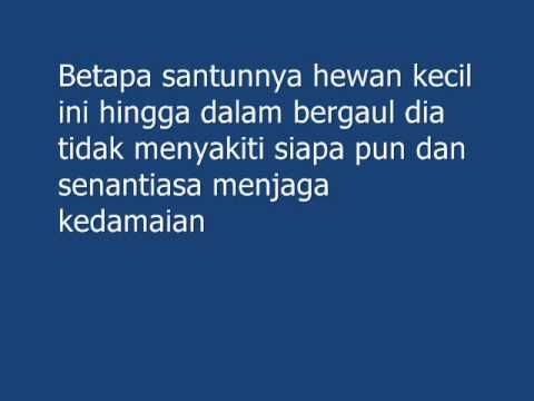Alat palu Thor Perangkat untuk impotensi