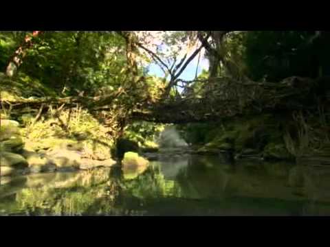 »Human Planet« (Dale Templar, Brian Leith, Timothy Allen)