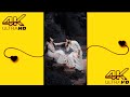 Tumpe Marte Hain Hum Mar Jayenge WhatsApp Status Humko Humise Chura Lo WhatsApp Status