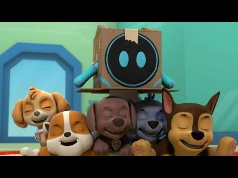 Marshall Weekly Wipeouts I'm Addicted To PAW Patrol Memes