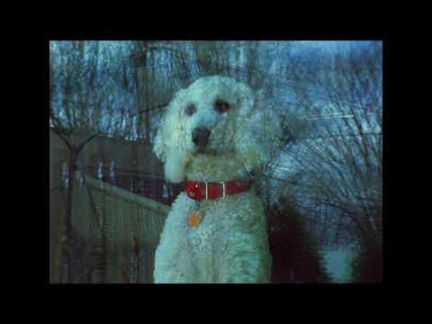 aemi TRAILER: Prismatic Music: Films by Joseph Bernard & Germaine Dulac