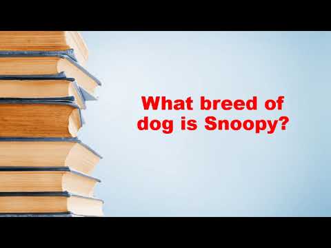 What breed of dog is Snoopy?