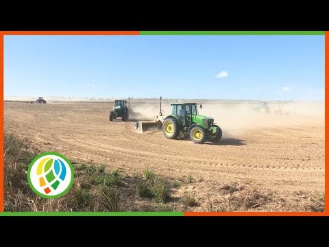 Debaten en torno a la producción de arroz en Pinar del Río