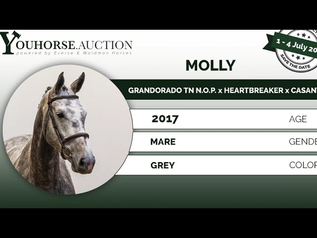 Molly @ show