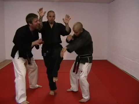CASA DE KENPO - BROWN BELT - SNAKES OF WISDOM