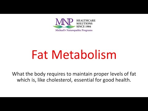 S Fat Vi Meta Morphoz - 