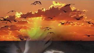 Tutto in un abbraccio - Claudio Baglioni (video con testo)