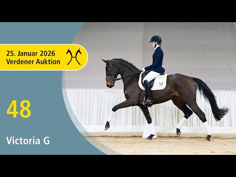 48 Victoria G by V-Plus - Desperados | Verden Auction Online - Sporthorses & Youngster - Jan., 25