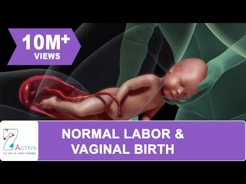 AMAZING NORMAL LABOR & VAGINAL BIRTH