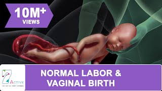 AMAZING NORMAL LABOUR & VAGINAL BIRTH