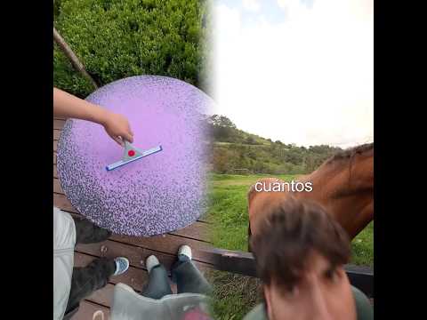 Cuántos animales tiene la granja del borrego