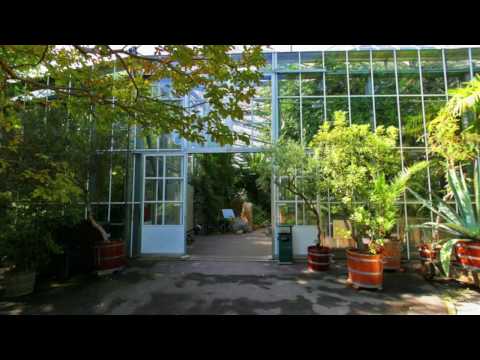 Hortus Botanics Botanical Gardens - Amsterdam