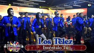 Los Telez - Inténtalo Tú (Video Oficial)