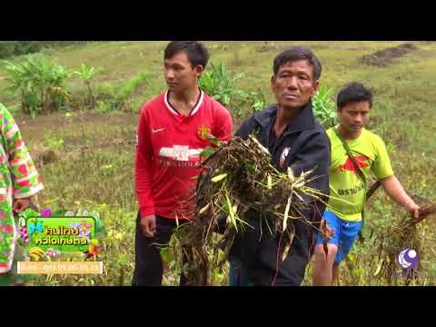 ศูนย์พัฒนาโครงการหลวงห้วยโป่ง