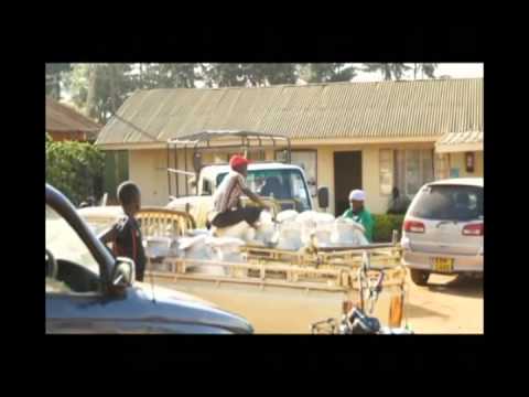 Transform lives of 5000 dairy farmers in Kenya