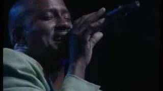 Ringo - Into Yam (Live)