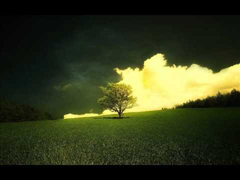 Dave 202 - Fireball (Original Mix)