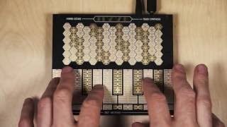 Video thumbnail for Discover new musical possibilities with the Hyve Touch Synthesizer by Skot Wiedmann