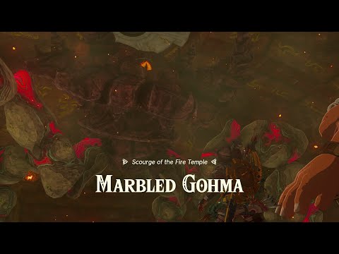Tears of the Kingdom - Fire Temple - Boss Fight (Marbled Gohma)
