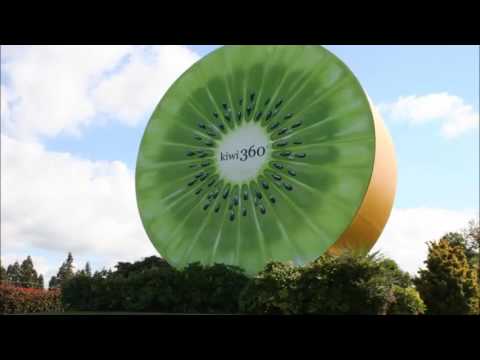 Te Puke Highway Song Contest; Goodness Grows Here.