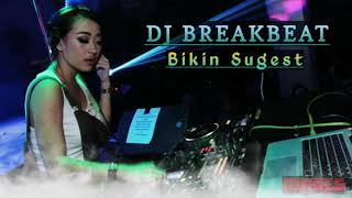 Download lagu Dj Breakbeat Terbaru 2020 Full Bass Gak Mau Pulang....mp3