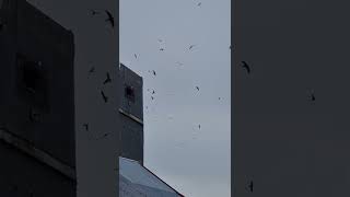 Download lagu Luar biasa responya Sp dari pak ketua ANDI SUFAR Sinar 77 mp3 Download lagu Luar biasa responya Sp dari pak ketua ANDI SUFAR Sinar 77 mp3