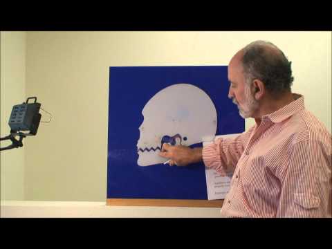 Dr. Jennings — Why TMJ Treatment Often Fails