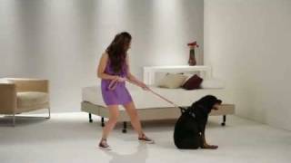 Lucy Pinder - Pulling - Makes Me Prematurely Perspire - Lynx-Axe - Banned Commercial.mp4