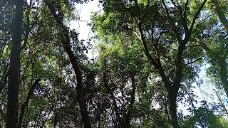 Consagração a Deus no Monte: Janeiro-2026. II Crônicas 7:14-16. 