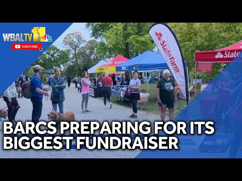 BARCS preparing for its biggest fundraiser of the year - YouTube