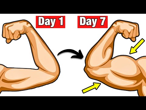 5 Exercises That Give You CRAZY Big Arms (NO EQUIPMENT)
