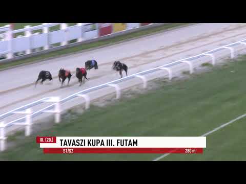 2023.05.19 3. FUTAM - TAVASZI KUPA III. FUTAM