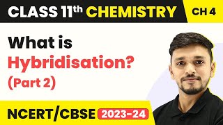 Hybridisation (Part 1) - Chemical Bonding and Molecular Structure | Class 11 Chemistry