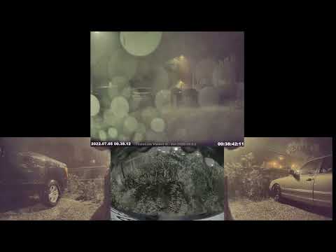 Tesla SentryCam: 7/5/2022 Chicago Overnight Storm