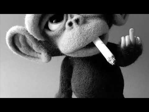 Chill music 2019 (dj.Dima Cusnir)