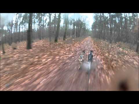 scooter 2 dogs tessa, yukon (second round) & Iota