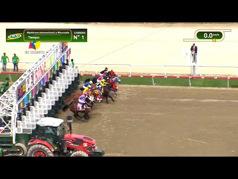 1st race | VINICIUS JR | La Rinconada Racetrack | Meeting 46 | 2025