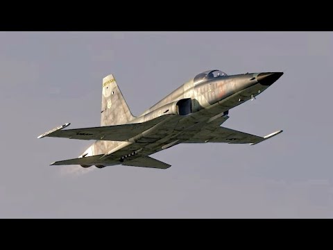 DCS | F-5 Tiger demo