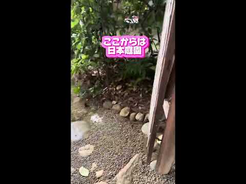 El viaje de Loli al restaurante y cafetería del Museo Metropolitano de Arte Teien de Tokio y al antiguo jardín del Palacio Asaka