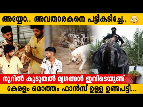 ഇവളുടെ കയ്യിൽ നിന്ന് അബദ്ധം പറ്റിയാൽ എനിക്ക് സന്തോഷമേ ഉള്ളു ❤️