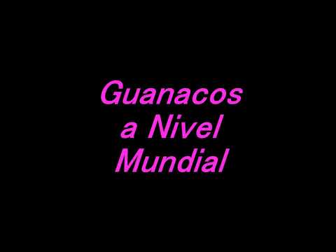 Cumbia Slow Mix Palmer Dj Hits Productions Navi Hits Curacao Apopa Centro