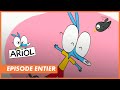 ARIOL Episode Entier Les éclairs Au Chocolat CANAL Kids