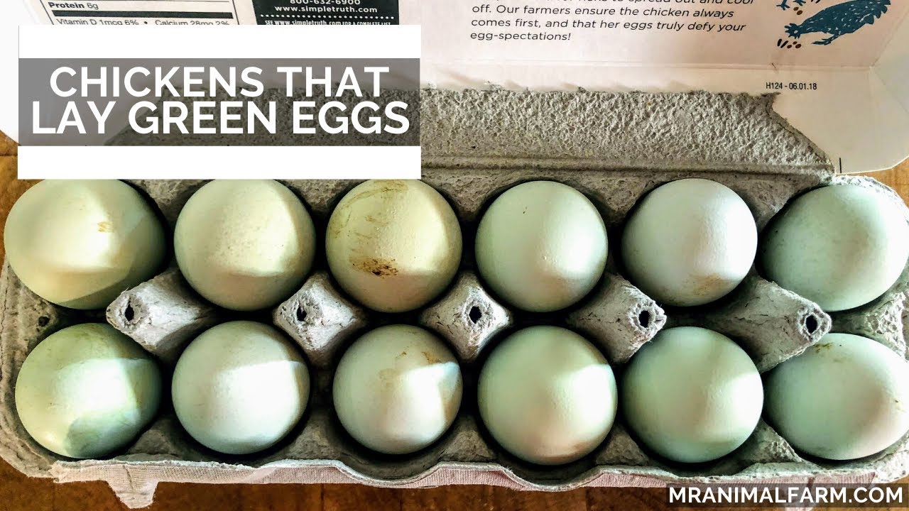 What is the best lead sales software? Tipseri