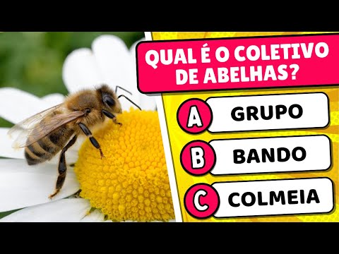🚀 Perguntas e respostas de conhecimentos gerais - Quiz com 40 perguntas 🎯