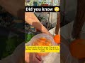 🔴Orange peels make water for plants#shorts #shortvideo