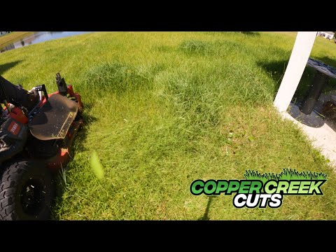 TORO vs. Tall Grass ($70 Mow, Quick Time)